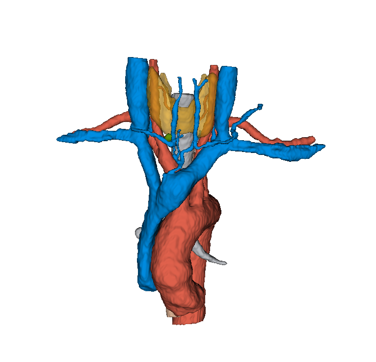 Parathyroïdes